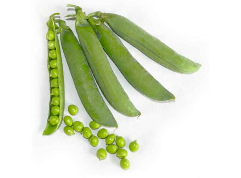 Семена гороха овощного Вондер (2500 с.) Lark Seeds